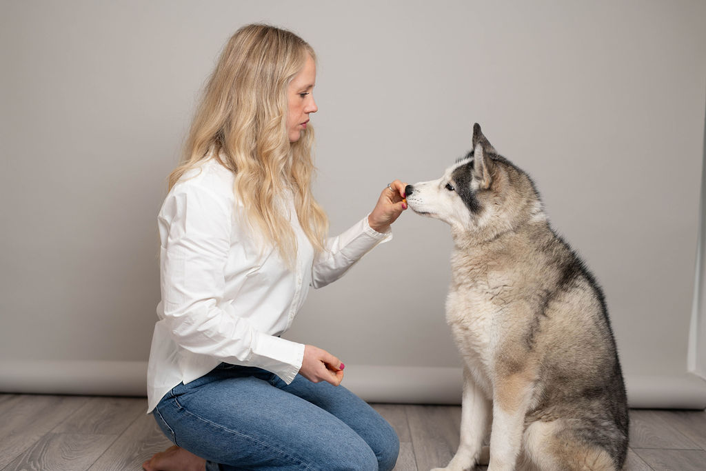 Kiri kneeling on the floor, feeding a treat to her husky